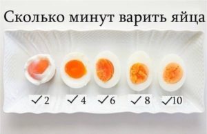Сколько варить яйца