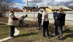 Копаем огород